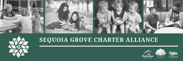 Sequoia Grove Charter Alliance Logo
